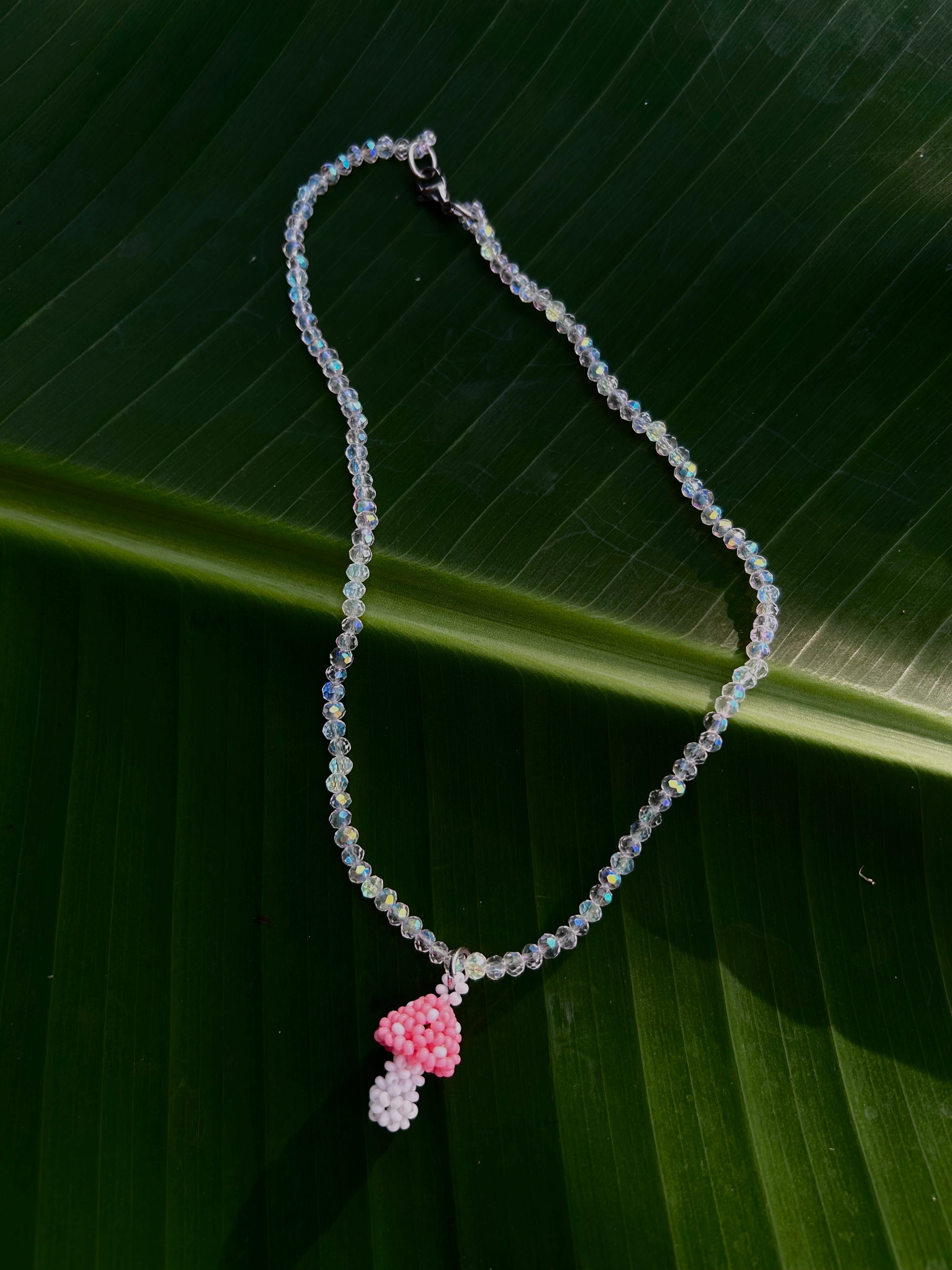 Collares hongo Natura
