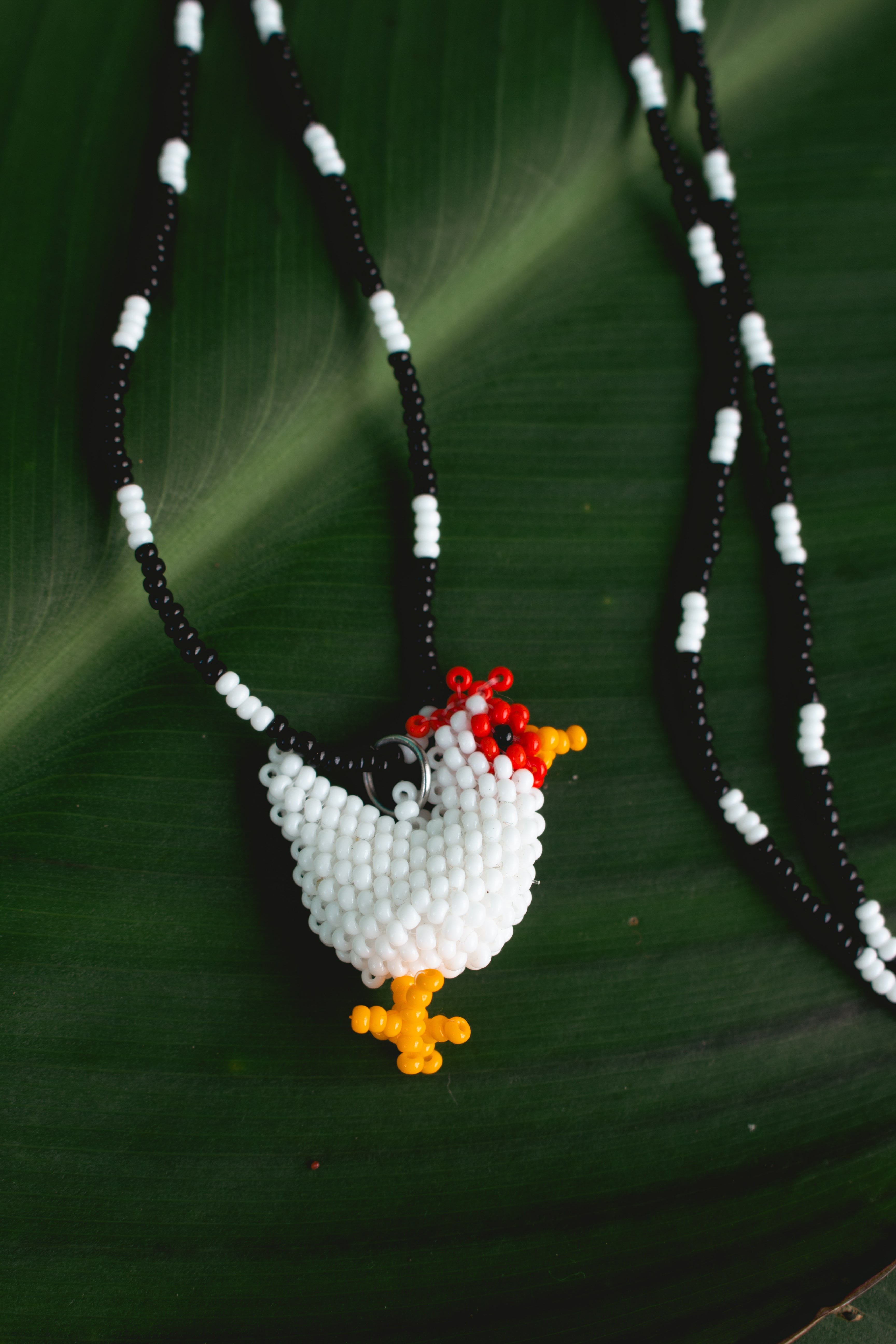 Collar gallo Jacinto