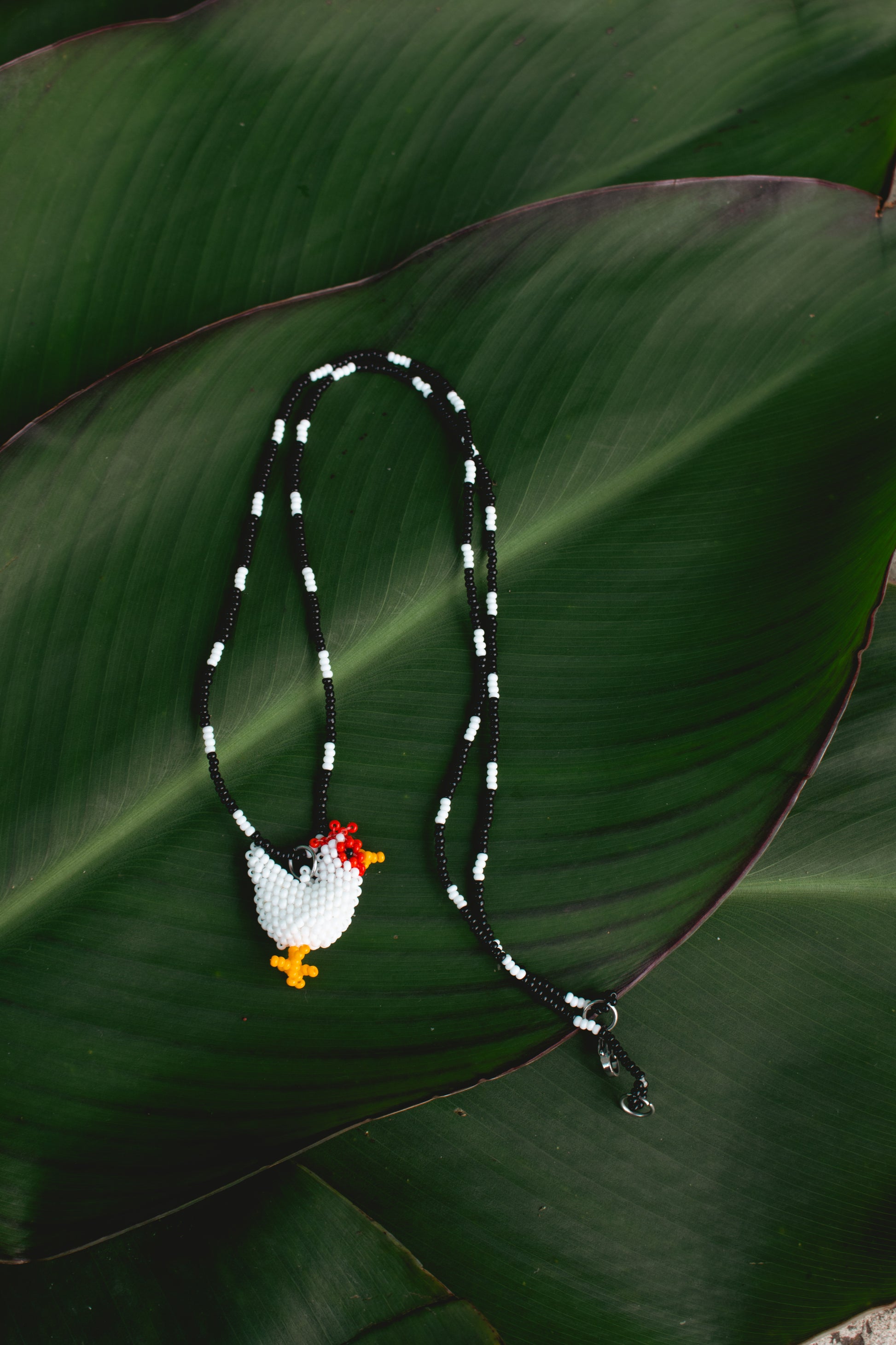 Collar gallo Jacinto