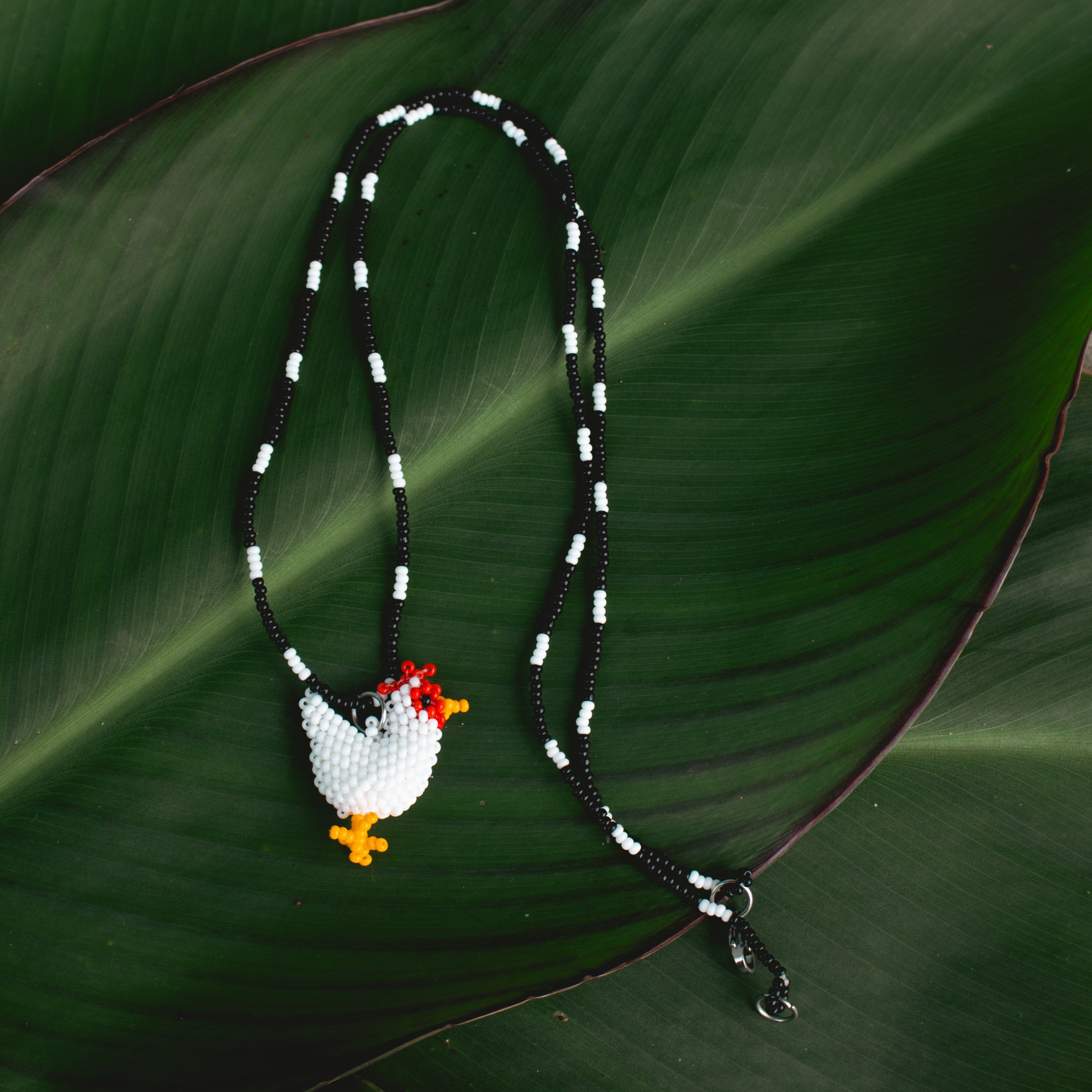 Collar gallo Jacinto