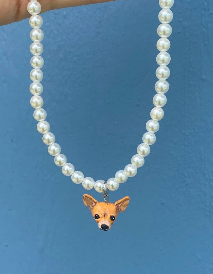 Collar mascota ✨